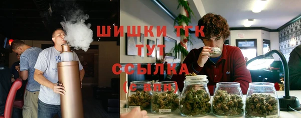 скорость Богородицк