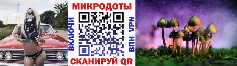 хочу наркоту  Кореновск  Псилоцибиновые грибы ЛСД 